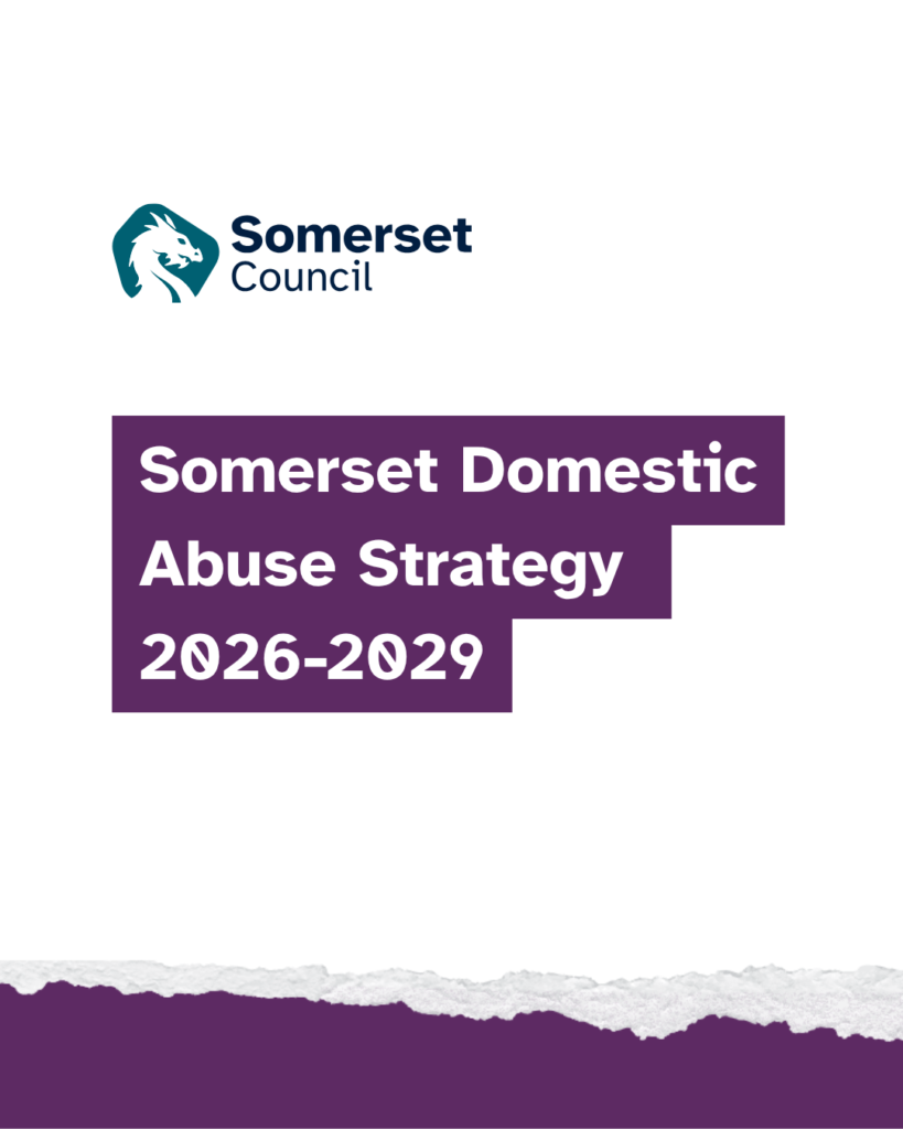 'Somerset Domestic Abuse Strategy 2026-2029'. Somerset Council logo. Purple ripped paper effect along the bottom.